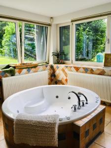 a bath tub in a bathroom with two windows at Naturforsthaus Ferienwohnung für tierverbundene Menschen in Preitenegg