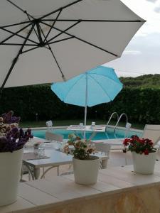 The swimming pool at or close to B&B Villa Cinzia