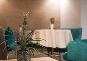 Część wypoczynkowa w obiekcie Park Hotel Villa Etschland