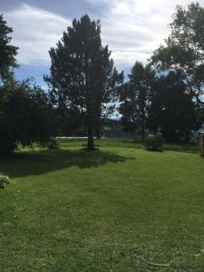 Fotografie z fotogalerie ubytování Naturforsthaus Gartenblick für Hunde - und naturverbundene Menschen v destinaci Preitenegg