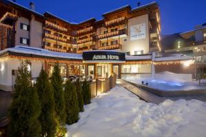安達洛的住宿－Adler Hotel Wellness & Spa - Andalo，夜间下雪的酒店