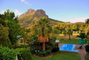 a resort with a palm tree and a swimming pool at Orange-Ville Lodge & Guesthouse in Stellenbosch