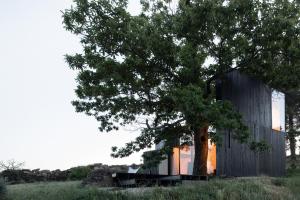a house with a tree in the middle of a field at CASA NO CASTANHEIRO in Meda
