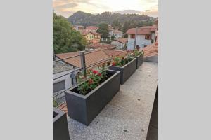 a row of planters on a balcony with flowers at Arona 01 attic mansarda secondo piano no ascensore no hotel in Arona