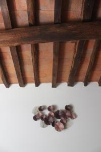 Fotografia z galérie ubytovania B&B Podere Lambure- società agricola v destinácii Popiglio