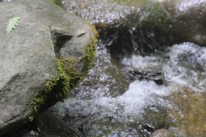 Príroda v okolí farmy