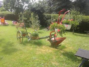 Zahrada ubytování FeWo Sonnenblume