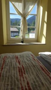 een slaapkamer met een bed en een raam met uitzicht bij Am-Berg Ferienwohnung in Bad kohlgrub in Bad Kohlgrub