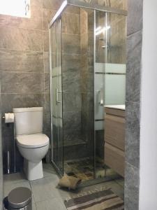 La salle de bains est pourvue de toilettes et d'une douche en verre. dans l'établissement Studio Entre Bords, à Les Trois-Îlets