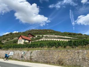 a man riding a bike next to a wall with a vineyard at Ferienhaus Gutedel in Freyburg