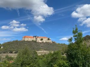 a castle on top of a hill with trees at Ferienhaus Gutedel in Freyburg