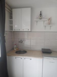 Kuchyň nebo kuchyňský kout v ubytování Smestaj Stanisavljevic