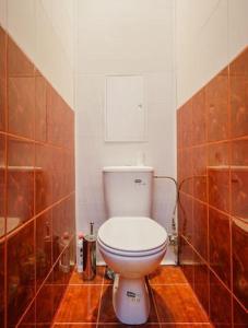 a bathroom with a white toilet and a shower at Апартаменты в центре Минска in Minsk