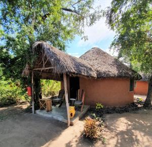 małą chatę z dachem krytym strzechą w obiekcie Africa Safari Selous Nyerere national park w mieście Nyakisiku