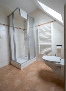 uma casa de banho com um chuveiro, um WC e um lavatório. em Pension Glückauf em Kurort Oberwiesenthal