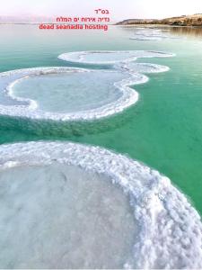 an aerial view of dead seawater in the water at Nadia Hosting Dead Sea in Neve Zohar