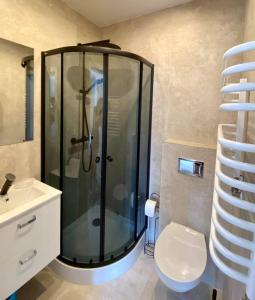 a shower in a bathroom with a toilet and a sink at Pokoje u Jarka in Krzyżowa