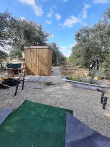 a backyard with a garden with a wooden shed at אוהל הזית in Maʼor