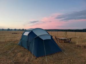 een blauwe tent in het midden van een veld bij Peace & Quiet in Sławoborze