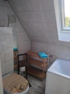 Ett badrum på Ferienwohnung auf dem Land Mecklenburgische Seenplatte Müritz, ländliche Region