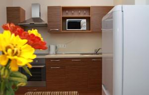 Kuchyň nebo kuchyňský kout v ubytování Litrada Apartments + 8 fotografií