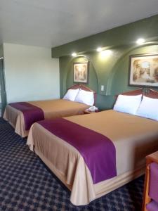 2 camas en una habitación de hotel con sábanas moradas en Budget Inn San Antonio Downtown I-10 East en San Antonio