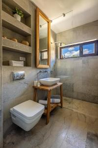 a bathroom with a toilet and a sink and a shower at The Golfer Apartment with Jacuzzi in Cluj-Napoca
