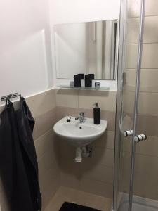een badkamer met een wastafel en een spiegel bij Apartmán Melody in Ústí nad Labem