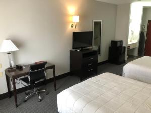 Habitación de hotel con cama, escritorio y TV. en Lea County Inn, en Hobbs