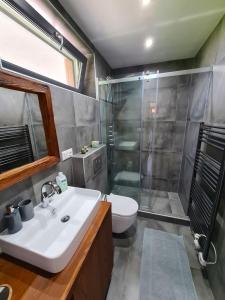 ein Bad mit einem Waschbecken, einer Dusche und einem WC in der Unterkunft Woodpark Valčianska dolina in Valča