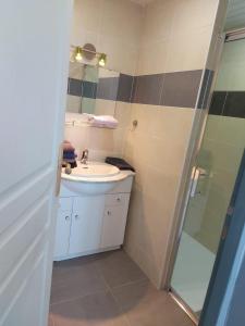 een badkamer met een wastafel en een douche bij Les Gîtes De Yayou in Pézenas