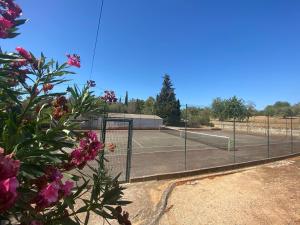 - un court de tennis avec 2 raquettes dans l'établissement Casa Joy, à Guia