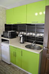 a kitchen with green cabinets and a sink at Апартаменти в Будиночку біля Софіївського Парка in Umanʼ