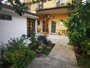 una vista exterior de una casa con plantas y un patio en Radović Apartments, en Budva