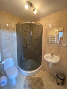a bathroom with a shower and a toilet and a sink at Willa Carmen in Krynica Zdrój
