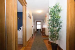 Gallery image of North House - Banff's Rocky Mountain House in Banff