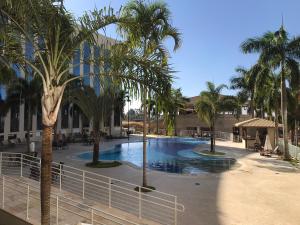 - une piscine bordée de palmiers en face d'un bâtiment dans l'établissement BARRETOS THERMAS - Flat privado, à Barretos