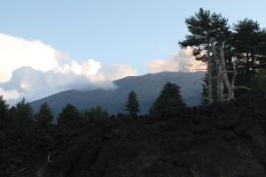 two trees on a hill with mountains in the background at Le case di Carlotta & Giorgia in Pozzillo
