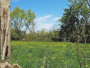 een prikkeldraadhek in een bloemenveld bij 4 person holiday home in KÖPINGSVIK-By Traum in Köpingsvik