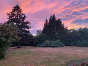 Giardino di Spacieuse maison dans un parc privée