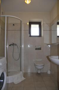 a bathroom with a shower and a toilet and a sink at Apartament Iskra in Zakopane