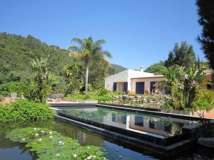 モンシケにあるStylish Villa with Private Swimming Poolの水中のユリが泳ぐスイミングプール付きの家