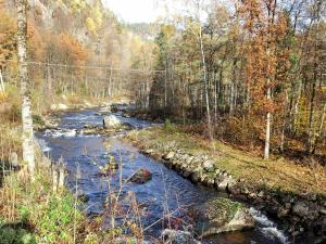 a river in the middle of a forest at 8 person holiday home in Lindesnes in Tryland