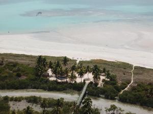 una vista aérea de una playa con palmeras y el océano en Hotel D'Anatureza, en Maceió