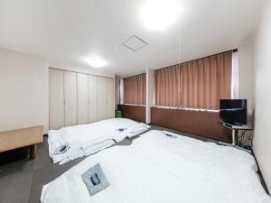 TV tai viihdekeskus majoituspaikassa Tabist Hotel Tetora Hakodate Station