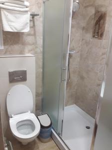 a small bathroom with a toilet and a shower at Park Hotel Manzherok in Manzherok