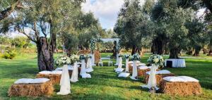 Zahrada ubytování Uliveto Principessa Resort