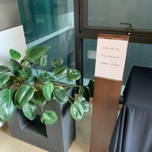 Fotografie z fotogalerie ubytování ON City Hotel v destinaci Čchonan