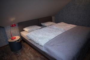Cette chambre comprend un lit avec deux oreillers et une lampe. dans l'établissement JDK Apartamenty Legionów 40m2 5-osobowy, à Kalisz