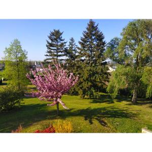 A garden outside Maison la grande serre